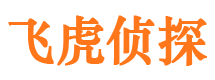 正定外遇调查取证